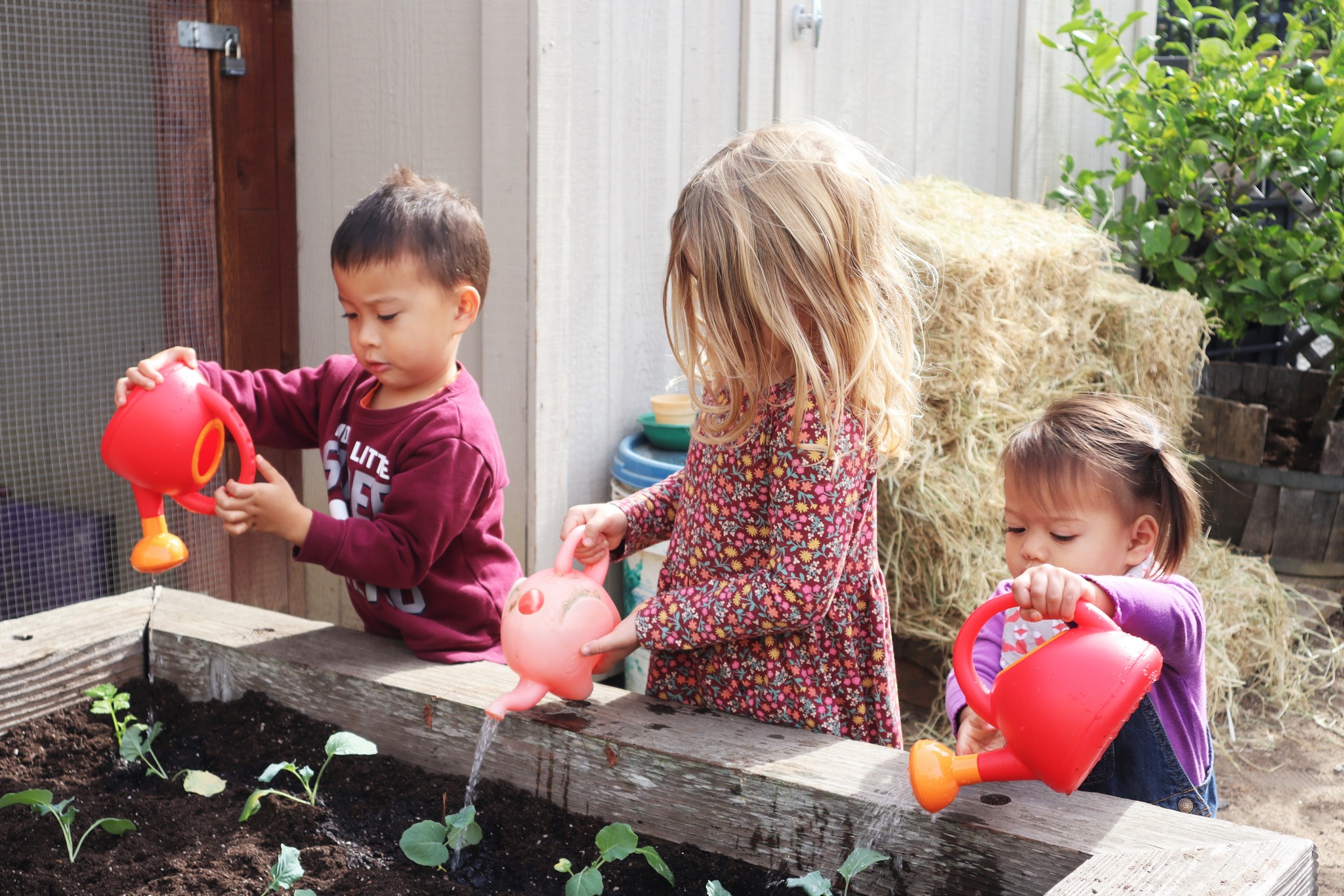 Spruce Up 2022-Kids Watering Plants